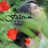 CD Fatoum - 2009